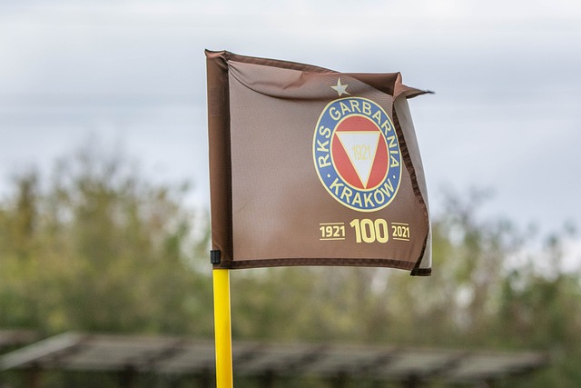 何济霆的一 何济霆的一