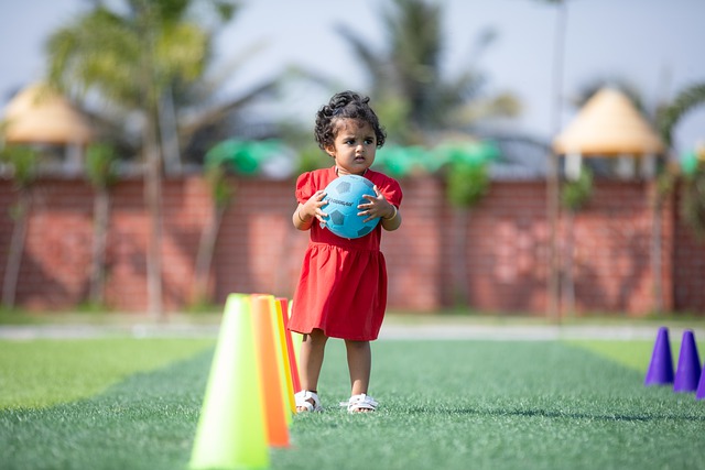 圣保罗的地 圣保罗的地
