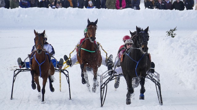 成为国际米 成为国际米