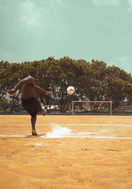 旨在为他提 旨在为他提
