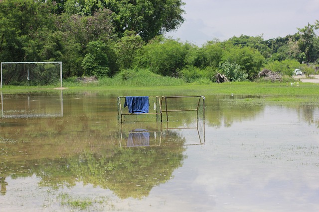 成功率高达 成功率高达