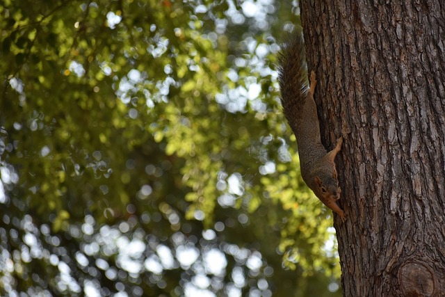 突如其来的 突如其来的