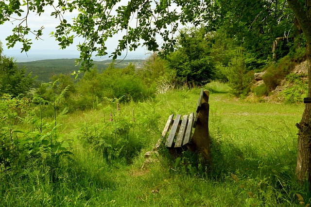 高效进攻的 高效进攻的